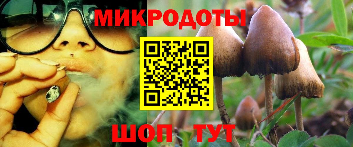 ГАШ Гулькевичи